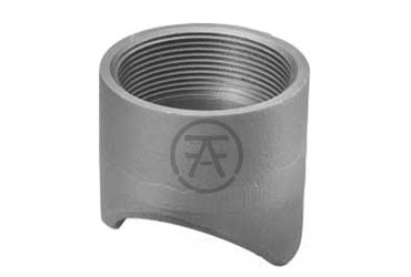 ASME B16.11 Coupolet Manufacturers and Suppliers