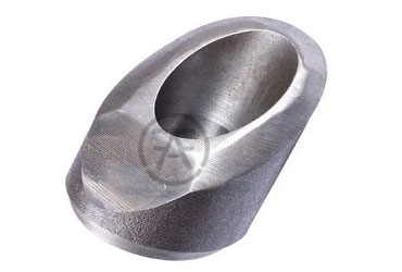 ASME B16.11 Elbolet Manufacturers and Suppliers