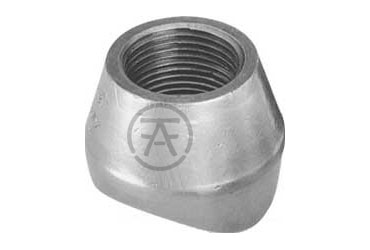 ASME B16.11 Thredolet Manufacturers and Suppliers